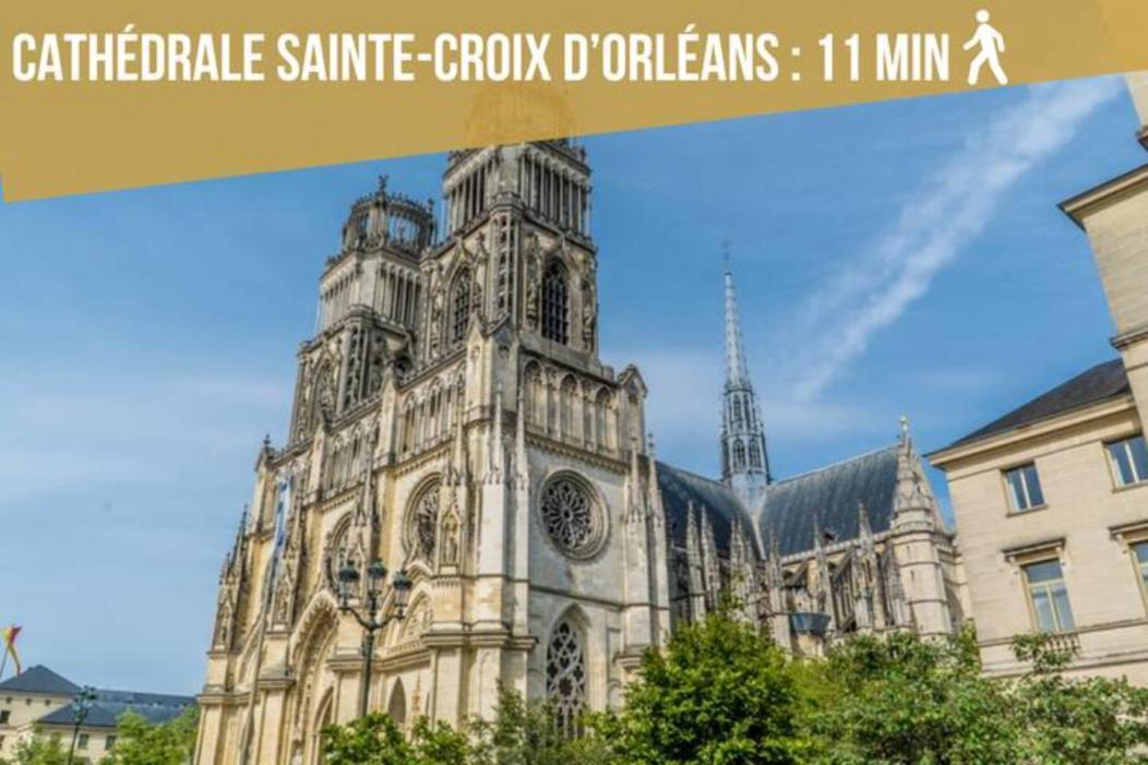 Somptueux Studio Hyper Centre Avec Wifi Lejlighed Orléans Eksteriør billede