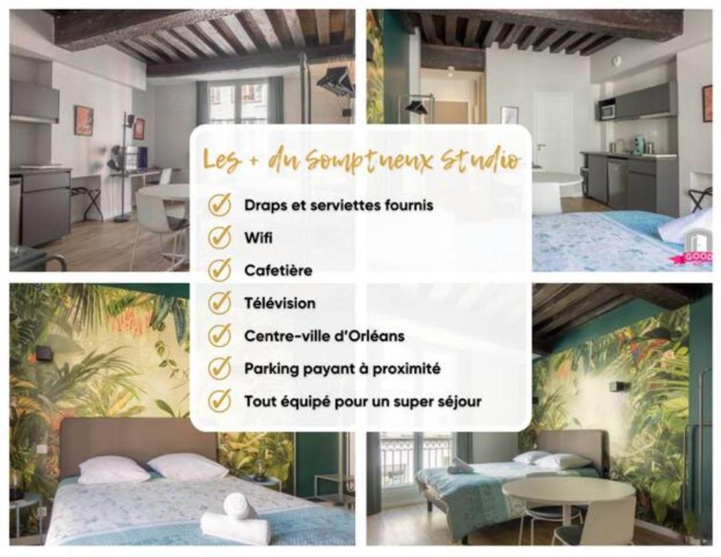 Somptueux Studio Hyper Centre Avec Wifi Lejlighed Orléans Eksteriør billede